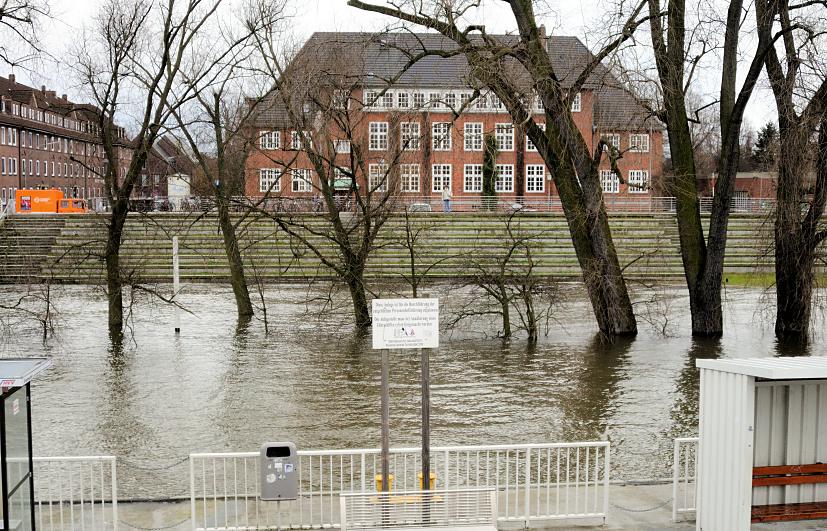 10899_0745 Hochwasser beim Finkenwerder Anleger - Bäume im Wasser. | Hochwasser in Hamburg - Sturmflut.